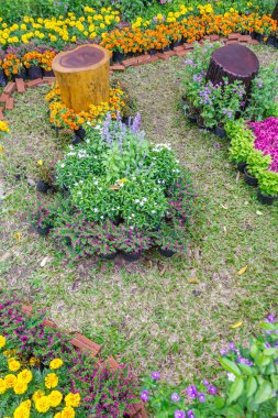 Yaz güzel eve çiçek Bahçe Bahçe nesne dekorasyon.