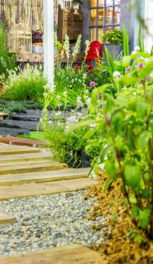 Yol ve çiçek pot dekorasyonda rahat ev çiçek bahçesi yaz.