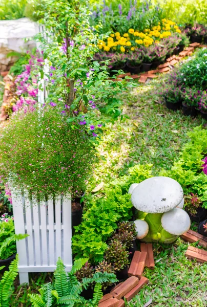 Vit Trä Staket Och Blomma Dekoration Mysiga Hem Trädgård Sommaren — Stockfoto