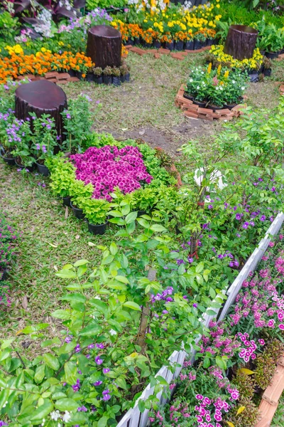 Clôture Bois Blanc Décoration Florale Dans Jardin Confortable Maison Été — Photo