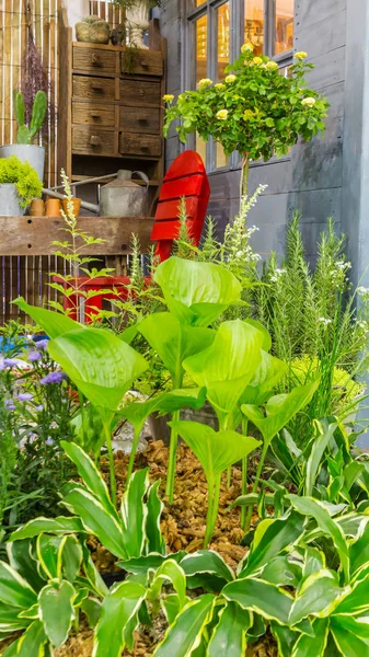 Zona Relax Con Sedia Rossa Decorazione Oggetto Giardino Accogliente Giardino — Foto Stock