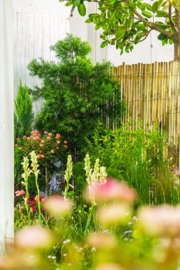 Beyaz ahşap çit ve çiçek dekorasyon rahat ev çiçek bahçesinde yaz.