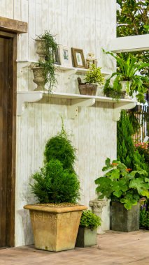 Yazları raf rahat ev çiçek Bahçe Bahçe nesne dekorasyonu ile rahatlatıcı alanı. 