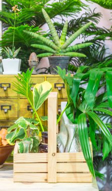 Alan bahçe araçları ve nesne dekorasyonu ile rahat ev bahçe tablo yaz üzerinde rahatlatıcı.