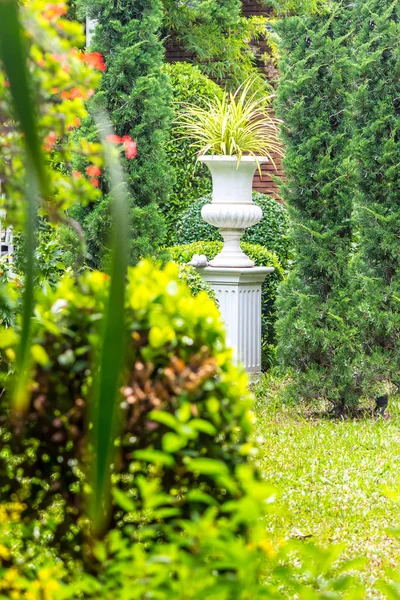 Gothic flower pot decoration  in cozy home flower garden on summer.