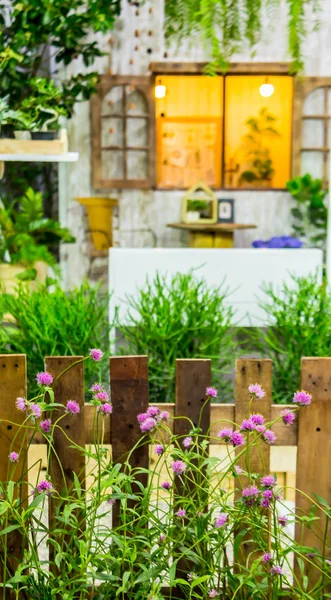 Recinzione Legno Bianco Decorazione Floreale Accogliente Giardino Fiorito Domestico Estate — Foto Stock