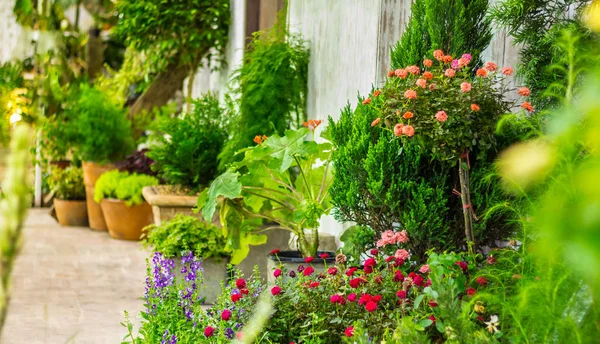 Beauty and relaxing garden with flower pot decoration in cozy home flower garden on summer.