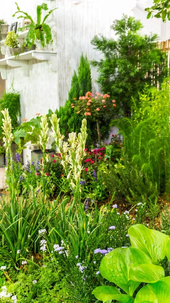 Skönhet Och Avkopplande Trädgård Med Flower Pot Dekoration Mysiga Hem — Stockfoto