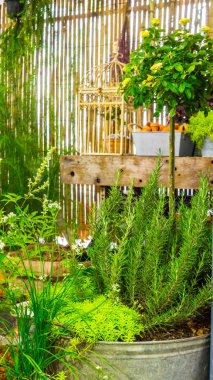 Alan bahçe araçları ve nesne dekorasyonu ile rahat ev bahçe tablo yaz üzerinde rahatlatıcı.