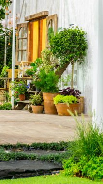 Güzellik ve yaz rahat ev çiçek bahçesinde çiçek pot dekorasyonu ile rahatlatıcı Bahçe.