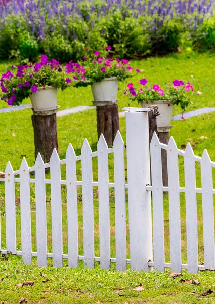 Bloemen Bloempot Decoratie Schoonheid Gezellige Huis Bloementuin Zomer — Stockfoto