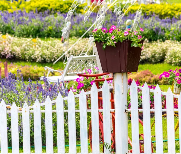 Fiori Decorazione Vaso Fiori Bellezza Accogliente Giardino Fiori Casa Estate — Foto Stock