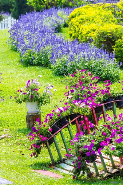 夏天花和花盆装饰在美丽舒适的家花园 — 图库照片