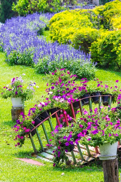 夏天花和花盆装饰在美丽舒适的家花园 — 图库照片