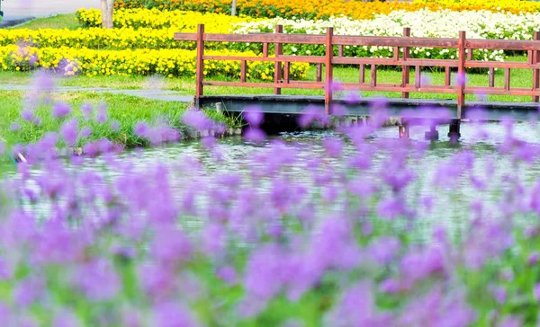 Puente Madera Acogedora Casa Jardín Flores Decoración Macetas Verano — Foto de Stock