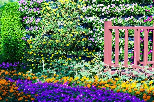 Деревянный Мост Уютном Доме Цветочный Сад Цветочный Горшок Украшения Летом — стоковое фото