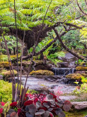 Akış bir yağmur sonra rahat ev çiçek bahçesine doğru akıyor.