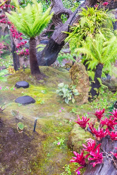 Passos Pedra Decoração Musgo Verde Jardim Flores Casa Aconchegante Japonês — Fotografia de Stock