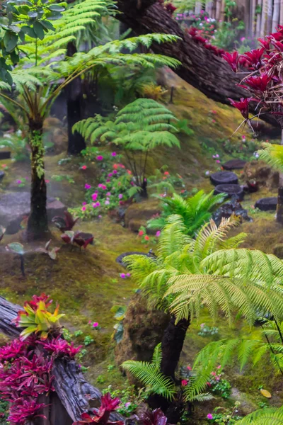 Passos Pedra Decoração Musgo Verde Jardim Flores Casa Aconchegante Japonês — Fotografia de Stock