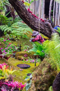 Bahçıvan süpürme yaprakları ve rahat bahçede yaz temizliği.