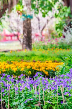 Yaz rahat ev Çiçek Bahçesi