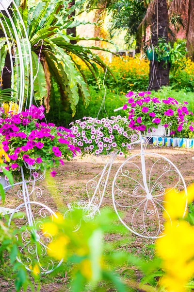 Im gemütlichen heimischen Blumengarten im Sommer. — Stockfoto