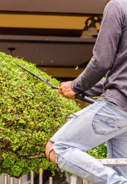 Bahçıvan yaz aylarında rahat ev bahçesinde çalışıyor.