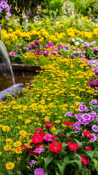 Wasserfall fließt in gemütlichen heimischen Blumengarten — Stockfoto