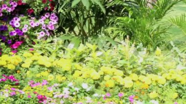 Görüntüleri şelale akar ve canlı çiçekler pot dekorasyon yaz aylarında rahat ev çiçek bahçesinde.