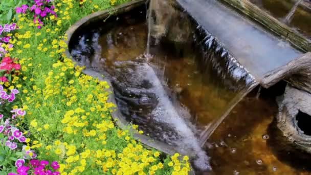 Beelden Waterval Stroomt Levendige Bloemen Pot Decoratie Gezellige Huis Bloementuin — Stockvideo