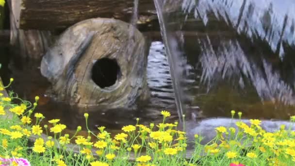 Filmagem Cachoeira Fluxos Flores Vívidas Pote Decoração Aconchegante Jardim Flores — Vídeo de Stock