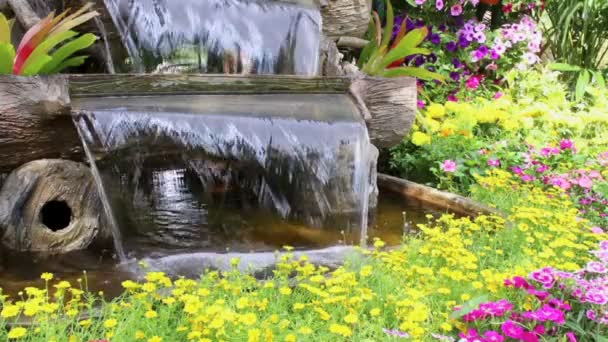 Beelden Waterval Stroomt Levendige Bloemen Pot Decoratie Gezellige Huis Bloementuin — Stockvideo