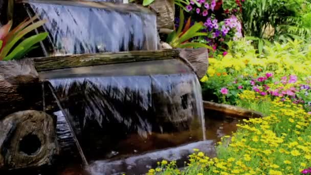 Filmagem Cachoeira Fluxos Flores Vívidas Pote Decoração Aconchegante Jardim Flores — Vídeo de Stock