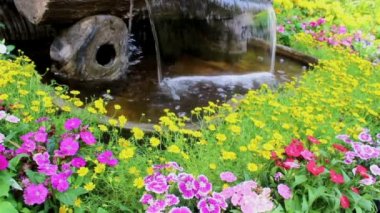 Görüntüleri şelale akar ve canlı çiçekler pot dekorasyon yaz aylarında rahat ev çiçek bahçesinde.