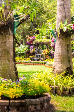 Şelale rahat ev çiçek bahçesinde akar