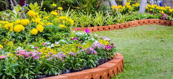Panorama Vivid Flower Pot Dekoration Cozy Home Flower Garden Sommaren — Stockfoto