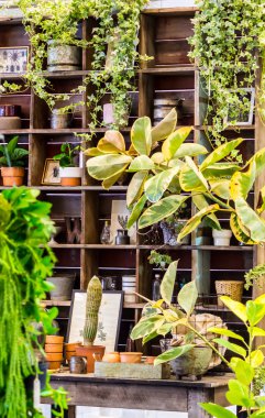 Bahçe araçlarıyla çalışma alanı ve raf.