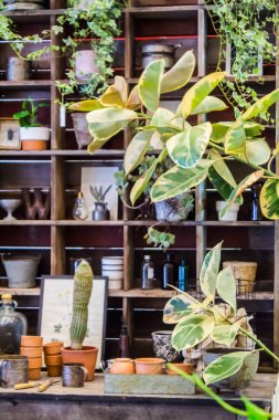 Bahçe araçlarıyla çalışma alanı ve raf.