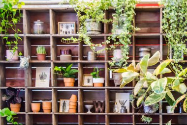 Bahçe araçlarıyla çalışma alanı ve raf.