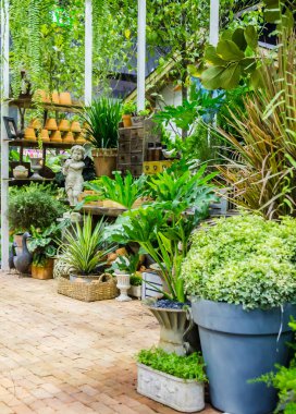 Bahçe araçlarıyla çalışma alanı ve raf.