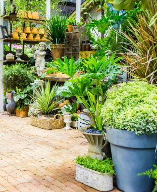 Bahçe araçlarıyla çalışma alanı ve raf.