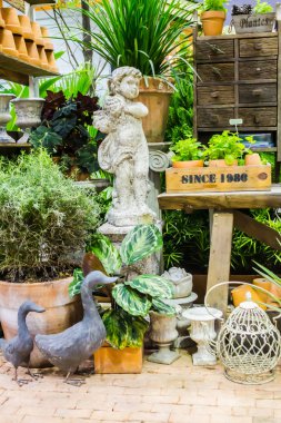 Bahçe araçlarıyla çalışma alanı ve raf.