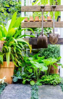 Bahçe araçlarıyla çalışma alanı ve raf.