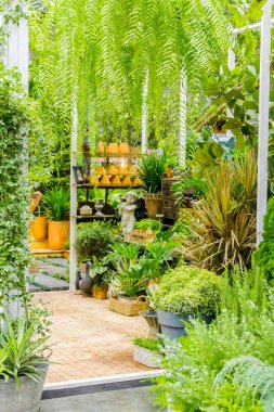 Bahçe araçlarıyla çalışma alanı ve raf.