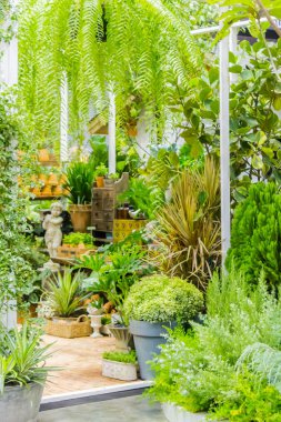 Bahçe araçlarıyla çalışma alanı ve raf.