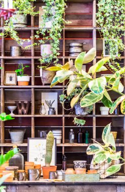 Bahçe araçlarıyla çalışma alanı ve raf.