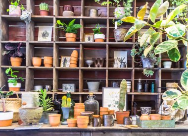 Bahçe araçlarıyla çalışma alanı ve raf.