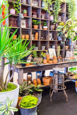 Bahçe araçlarıyla çalışma alanı ve raf.