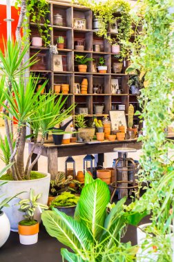 Bahçe araçlarıyla çalışma alanı ve raf.