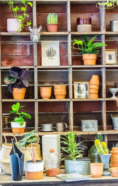 Espacio de trabajo y estante con herramientas de jardín . —  Fotos de Stock